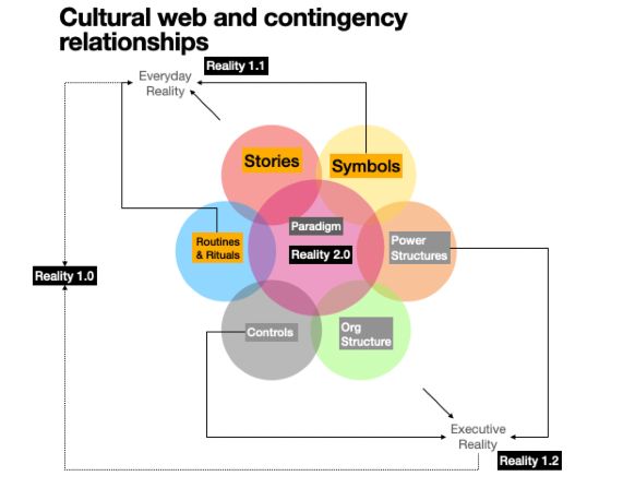 cultural web and contingency relationships