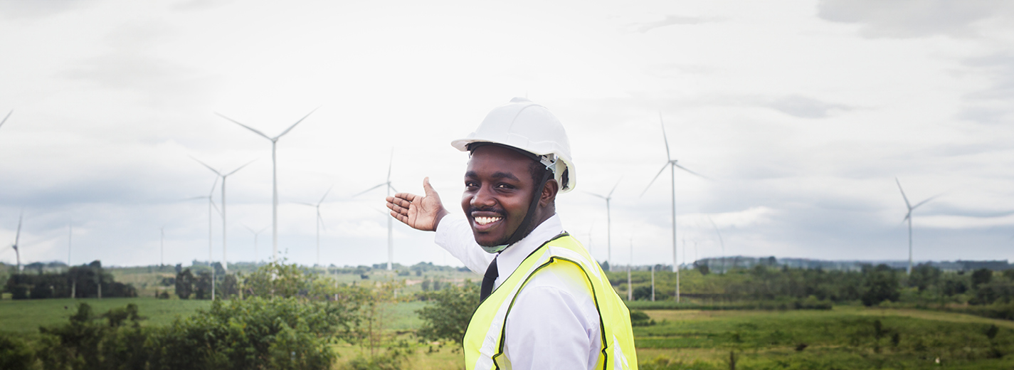 Renewable energy wind farm